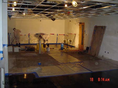 Commercial mastic removal