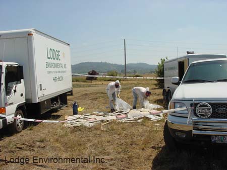 Illegal dump clean up