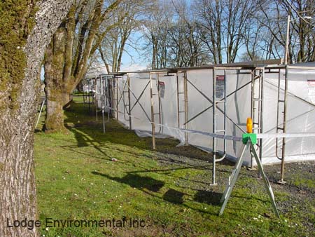 Park tile abatement