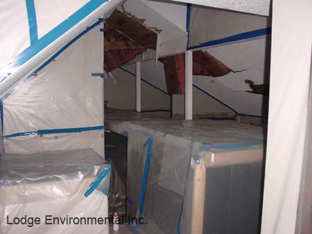 Wind damage ceiling abatement