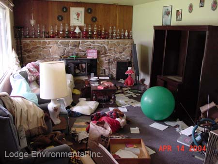 Living room before
