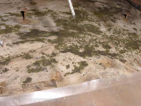 Mold